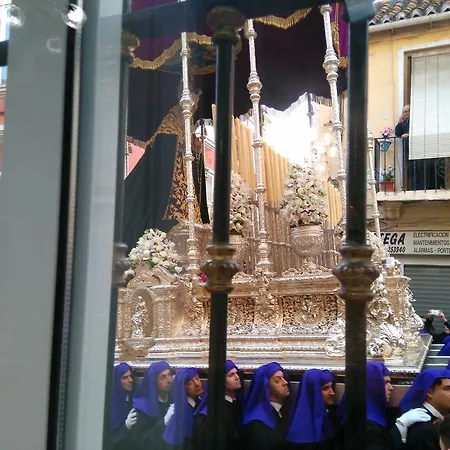 Las Flores * Málaga
