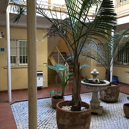Las Flores Málaga